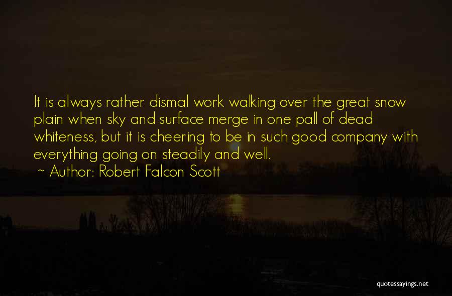 Dead And Company Quotes By Robert Falcon Scott