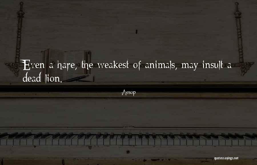 Dead Animals Quotes By Aesop Dead Animals Quotes By Aesop