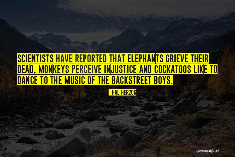 Dead Animals Quotes By Hal Herzog Dead Animals Quotes By Hal Herzog