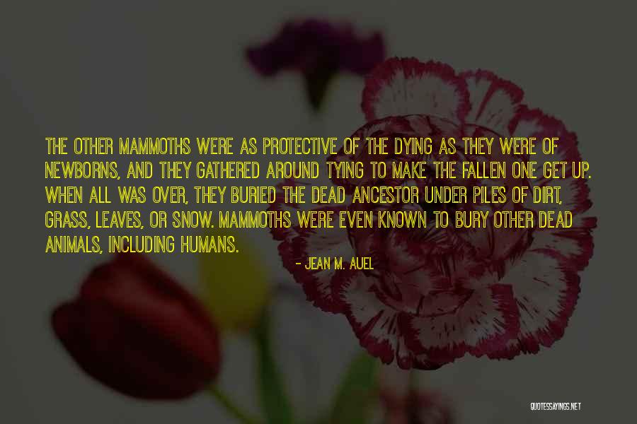 Dead Animals Quotes By Jean M. Auel Dead Animals Quotes By Jean M. Auel