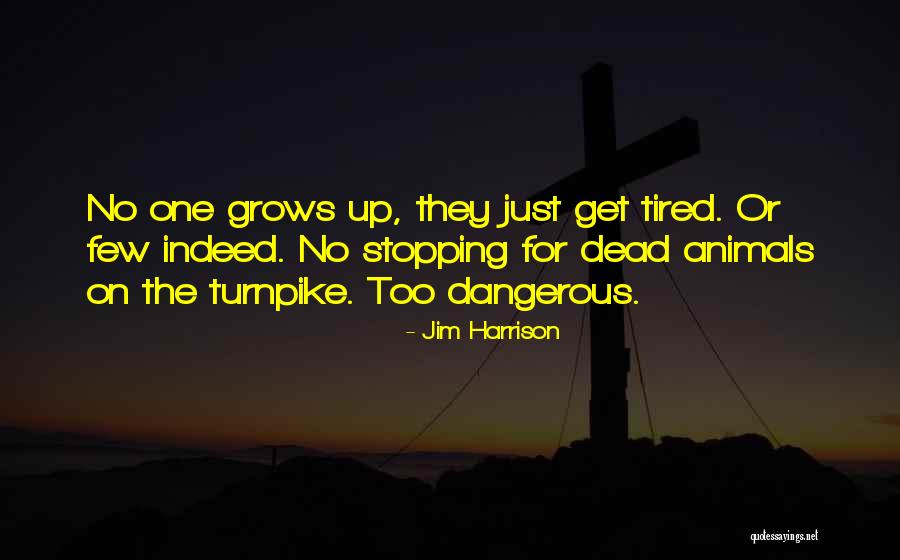 Dead Animals Quotes By Jim Harrison Dead Animals Quotes By Jim Harrison