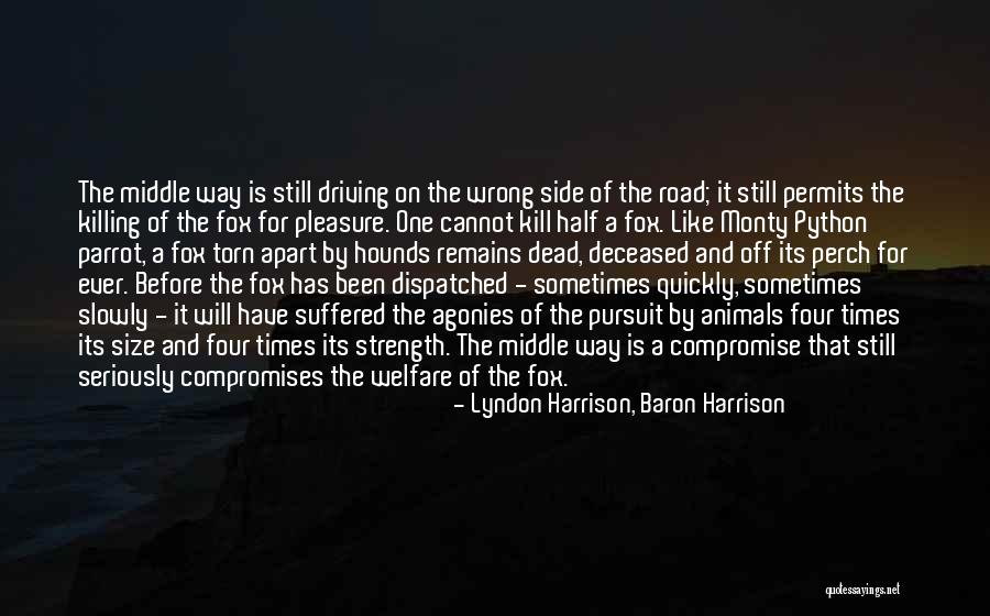 Dead Animals Quotes By Lyndon Harrison, Baron Harrison Dead Animals Quotes By Lyndon Harrison, Baron Harrison