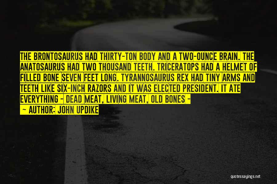 Dead Body Quotes By John Updike