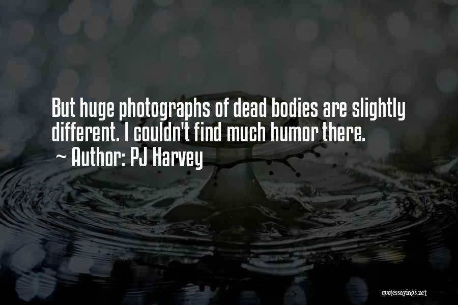 Dead Body Quotes By PJ Harvey