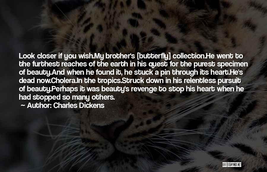 Dead Brother Quotes By Charles Dickens