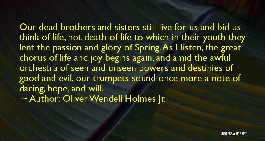 Dead Brother Quotes By Oliver Wendell Holmes Jr.