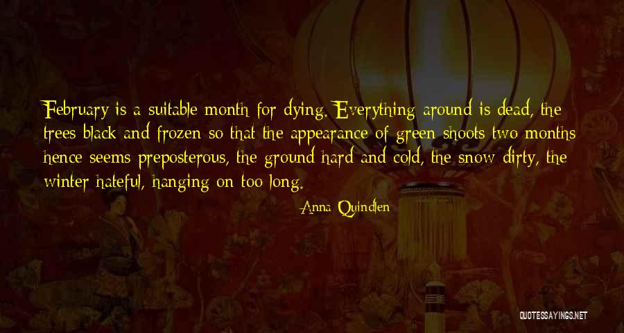 Dead Cold A Quotes By Anna Quindlen Dead Cold A Quotes By Anna Quindlen