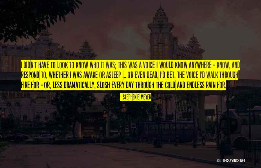 Dead Cold A Quotes By Stephenie Meyer Dead Cold A Quotes By Stephenie Meyer