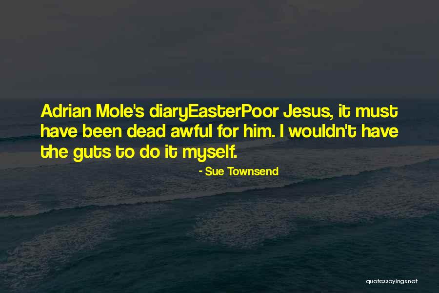 Dead Diary Quotes By Sue Townsend Dead Diary Quotes By Sue Townsend