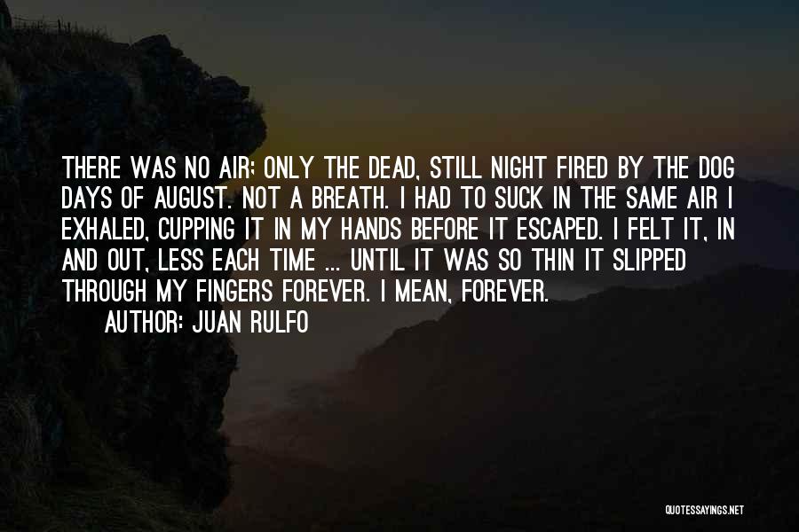 Dead Dog Quotes By Juan Rulfo