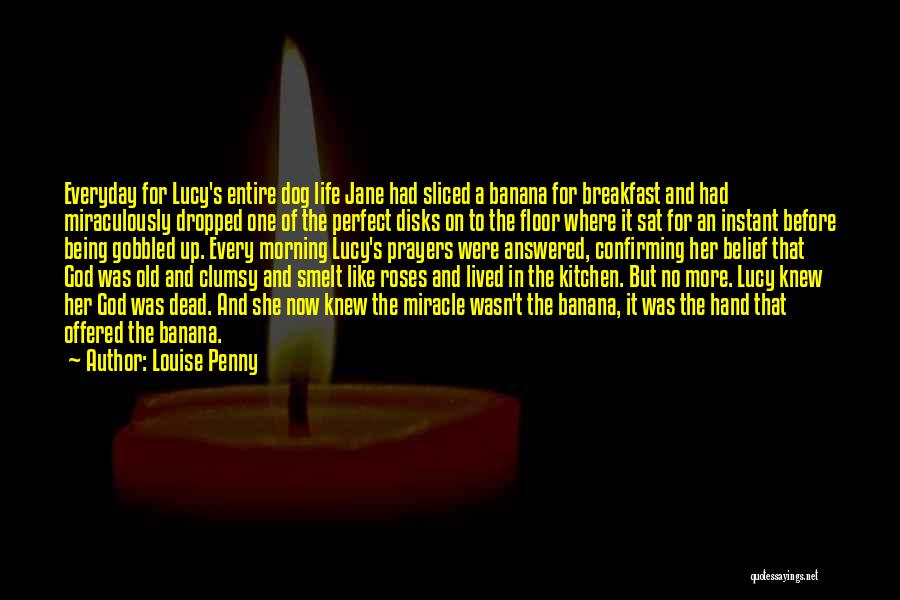 Dead Dog Quotes By Louise Penny
