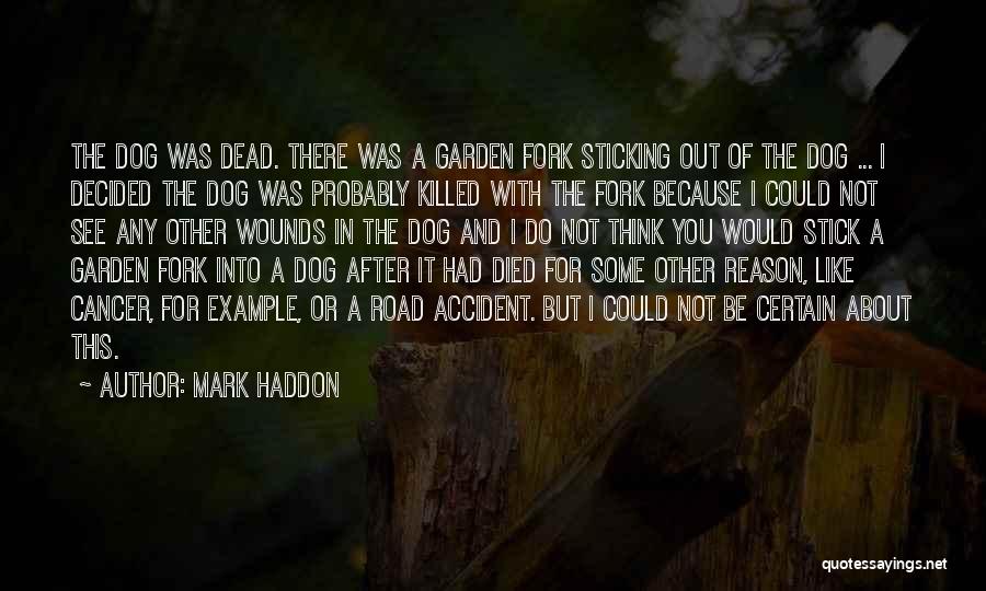 Dead Dog Quotes By Mark Haddon