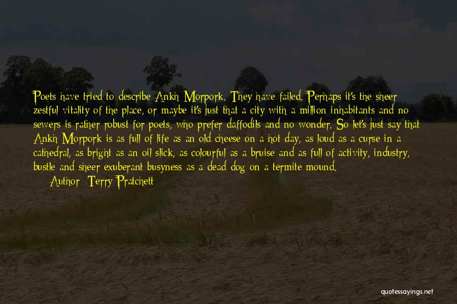 Dead Dog Quotes By Terry Pratchett