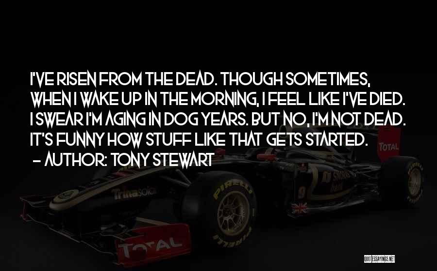 Dead Dog Quotes By Tony Stewart