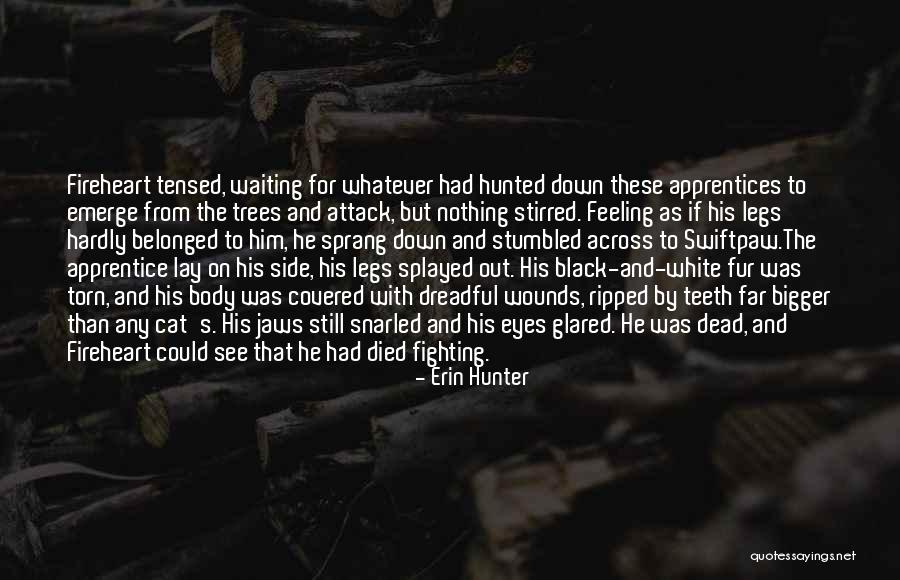 Dead Dogs Quotes By Erin Hunter