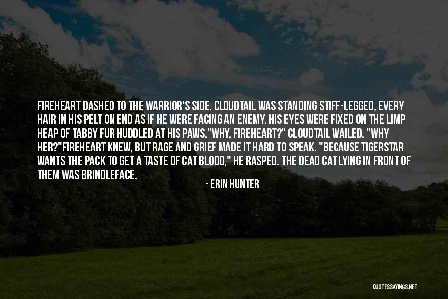 Dead Dogs Quotes By Erin Hunter Dead Dogs Quotes By Erin Hunter