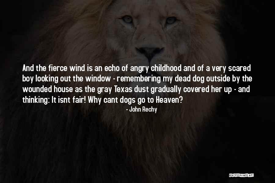 Dead Dogs Quotes By John Rechy