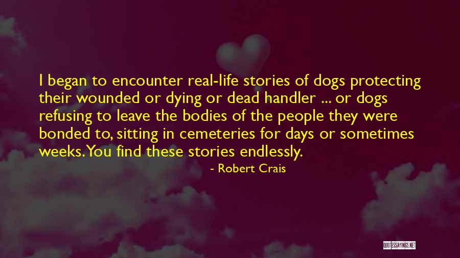 Dead Dogs Quotes By Robert Crais