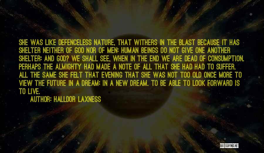 Dead End Quotes By Halldor Laxness