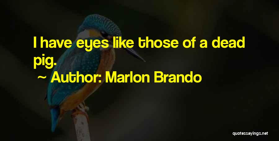 Dead Eyes Quotes By Marlon Brando