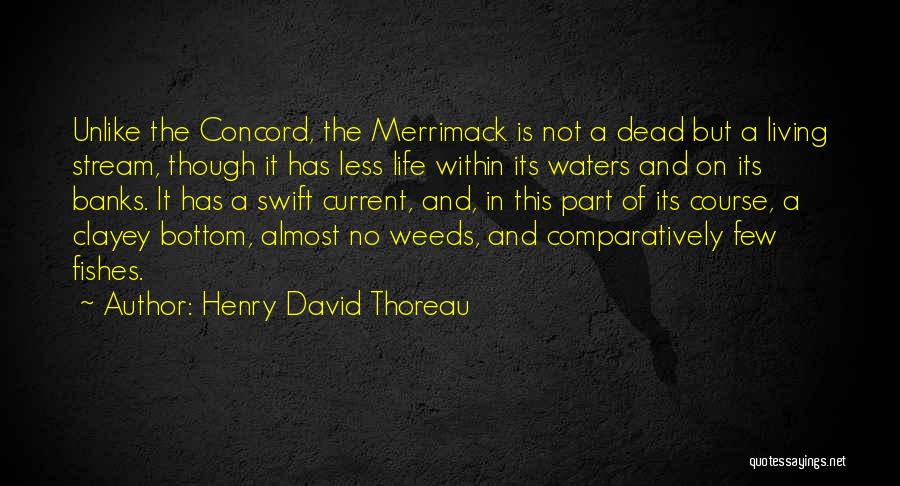 Dead Fishes Quotes By Henry David Thoreau