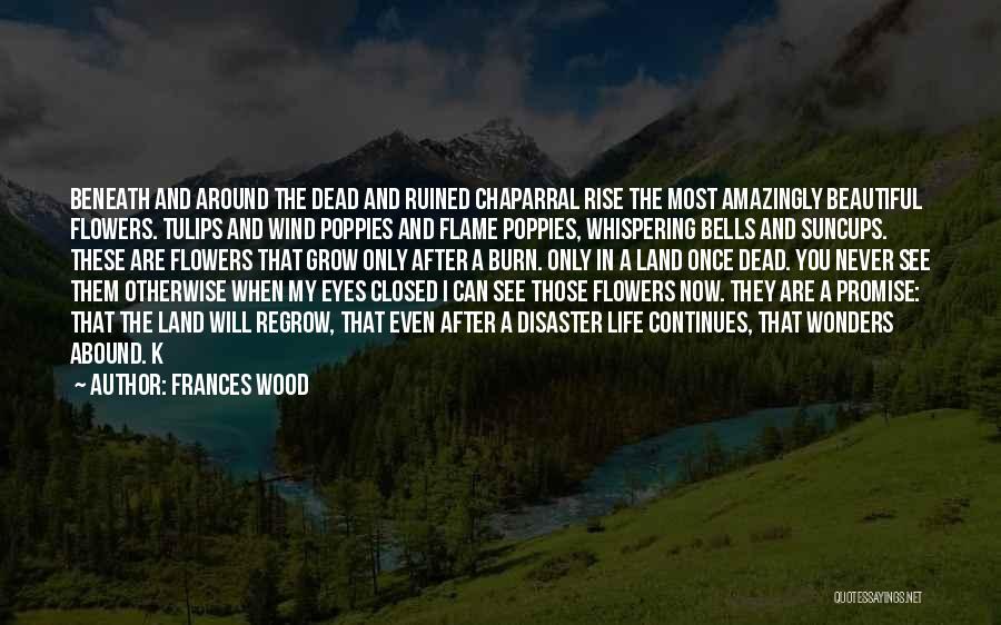 Dead Flowers Quotes By Frances Wood