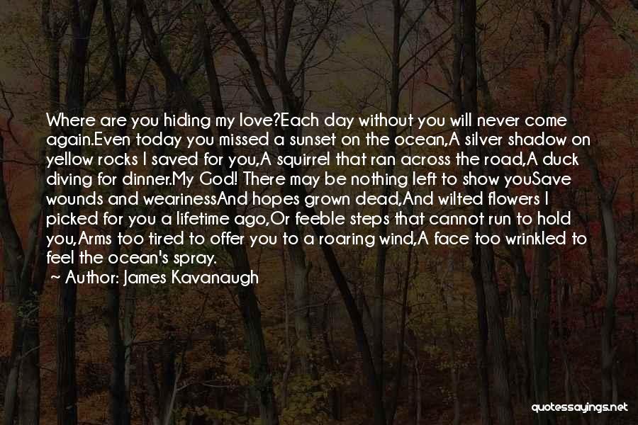 Dead Flowers Quotes By James Kavanaugh