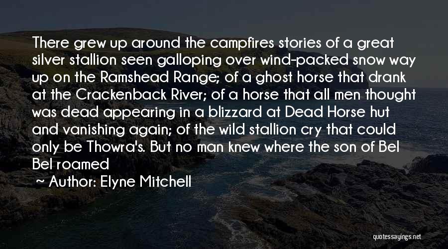 Dead Horse Quotes By Elyne Mitchell