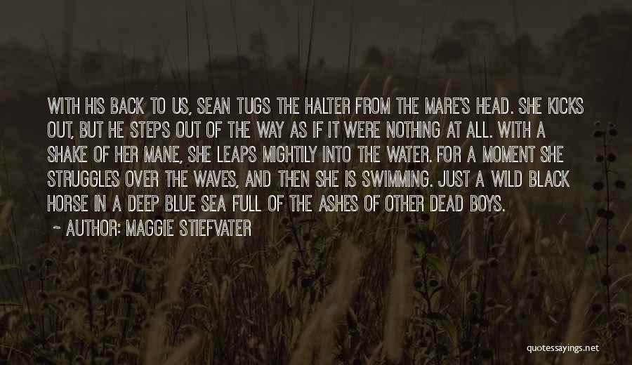 Dead Horse Quotes By Maggie Stiefvater