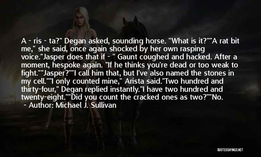 Dead Horse Quotes By Michael J. Sullivan