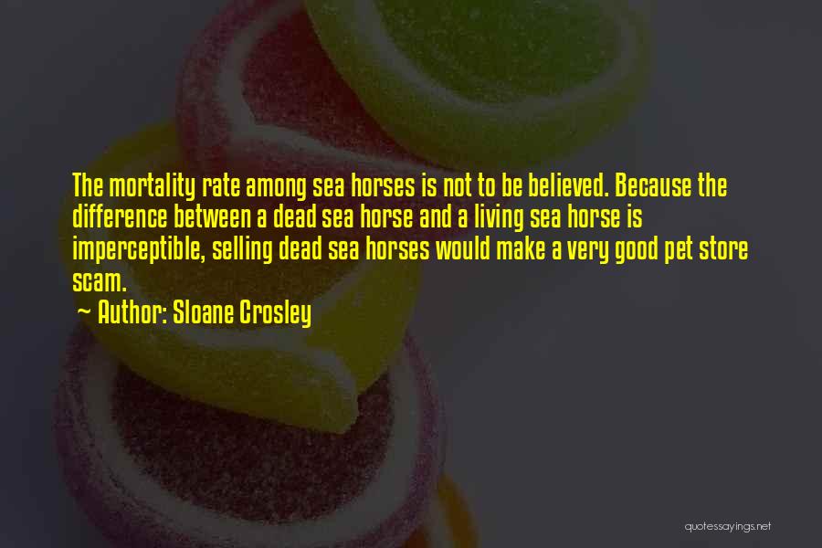 Dead Horse Quotes By Sloane Crosley