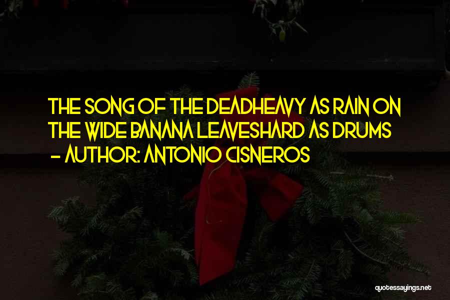 Dead Leaves Quotes By Antonio Cisneros