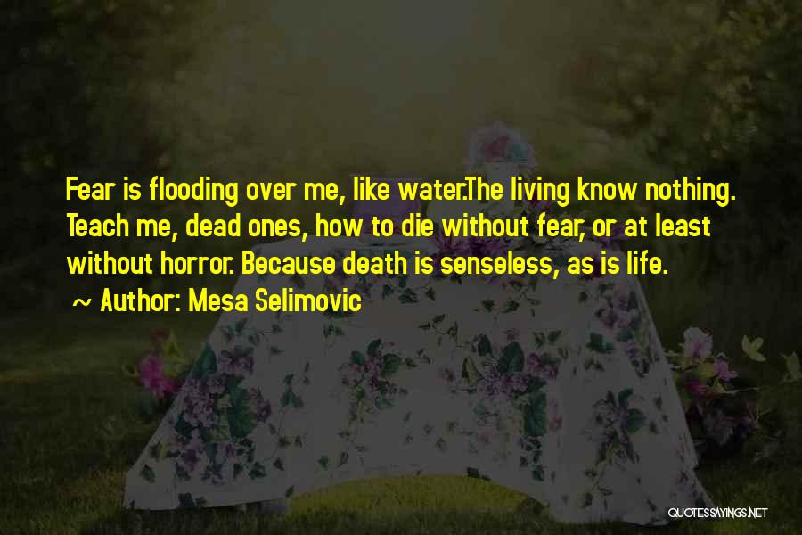 Dead Like Me Quotes By Mesa Selimovic