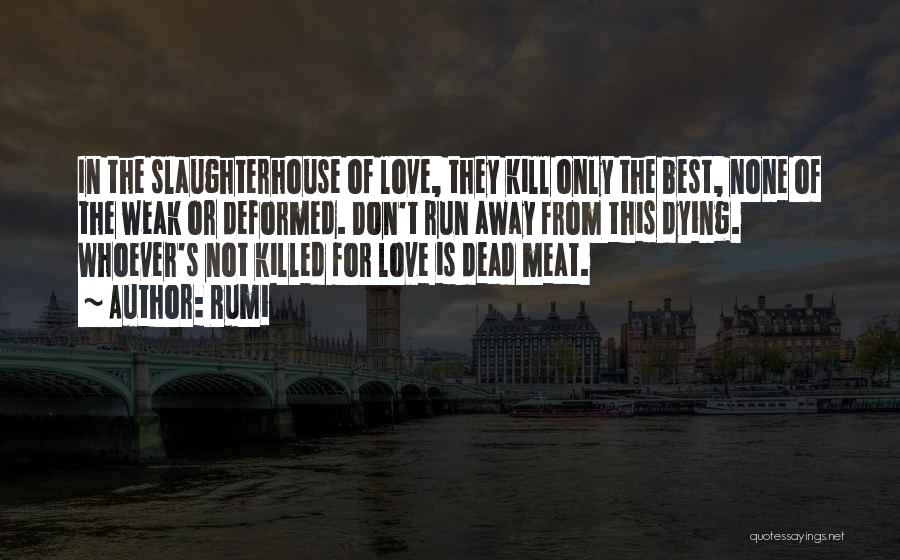 Dead Meat Quotes By Rumi