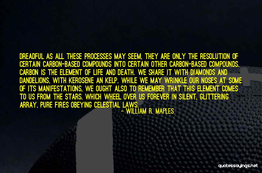 Dead Men Do Tell Tales Quotes By William R. Maples Dead Men Do Tell Tales Quotes By William R. Maples