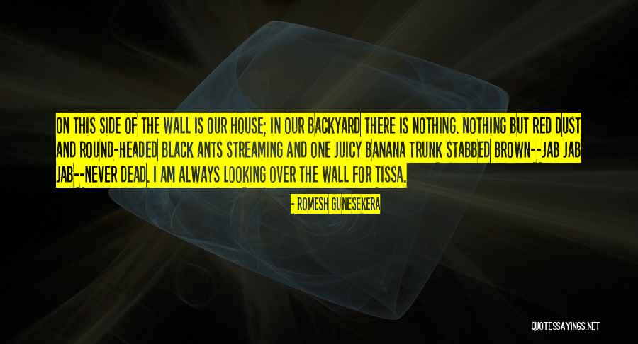 Dead Red Quotes By Romesh Gunesekera Dead Red Quotes By Romesh Gunesekera