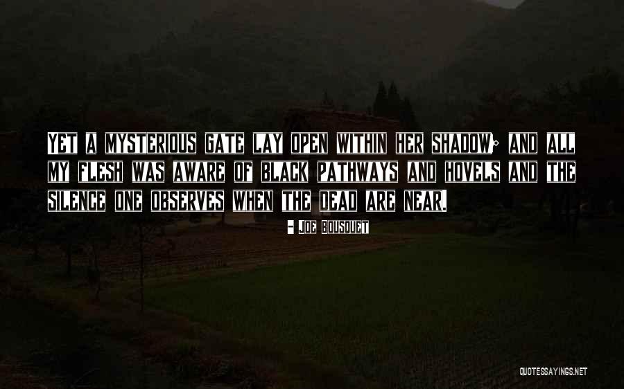 Dead Within Quotes By Joe Bousquet Dead Within Quotes By Joe Bousquet