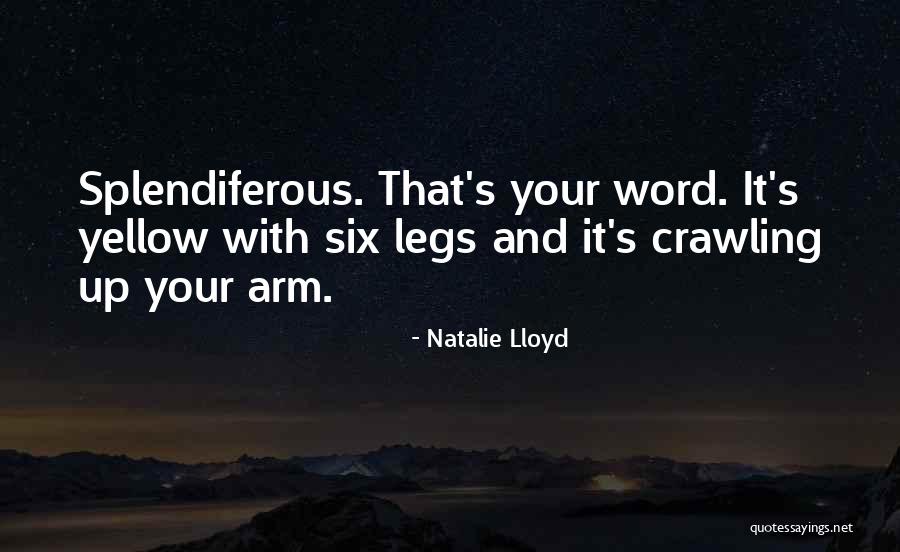 Deadlift Pr Quotes By Natalie Lloyd Deadlift Pr Quotes By Natalie Lloyd