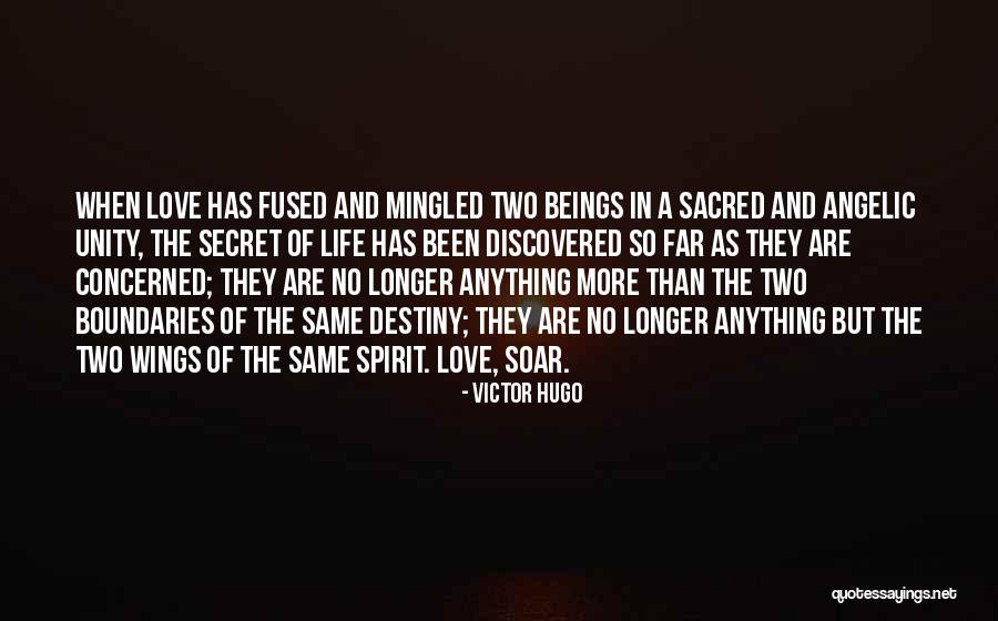 Dealing With Baby Mamas Quotes By Victor Hugo