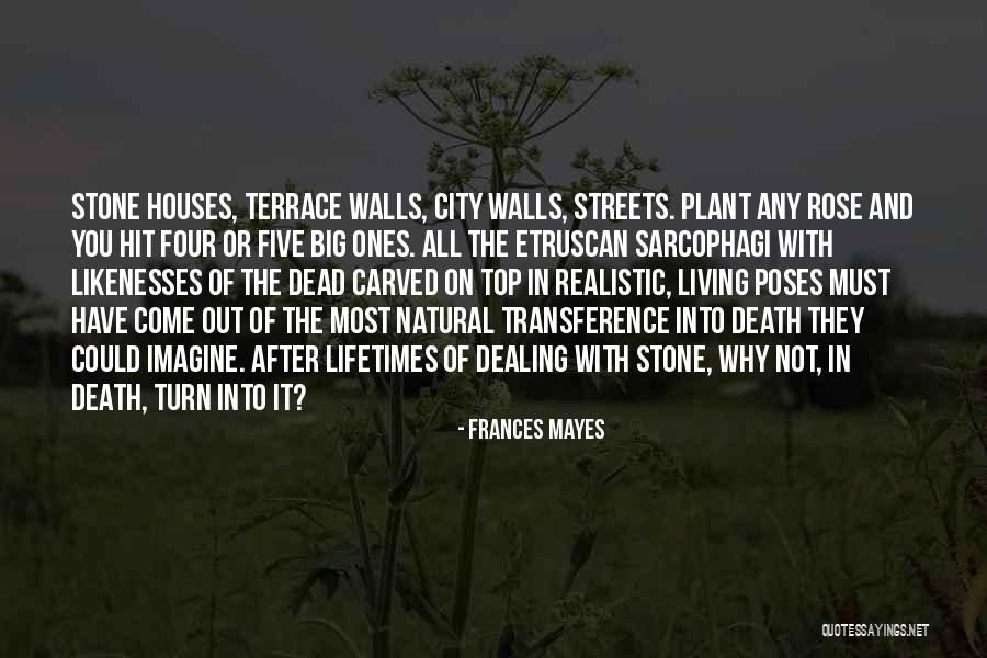 Dealing With Death Quotes By Frances Mayes