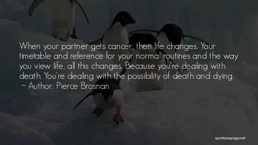 Dealing With Life Changes Quotes By Pierce Brosnan