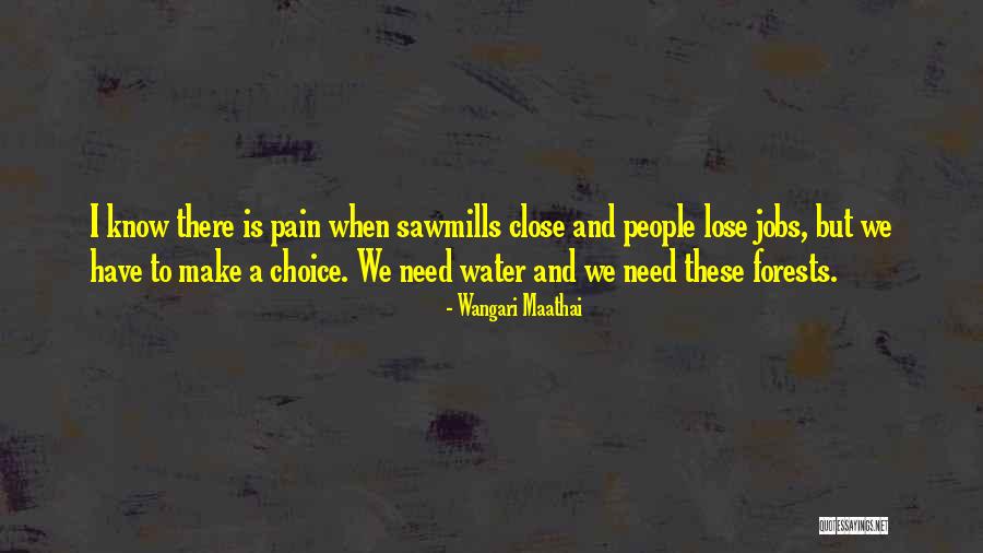 Dealing With Offenses Quotes By Wangari Maathai Dealing With Offenses Quotes By Wangari Maathai