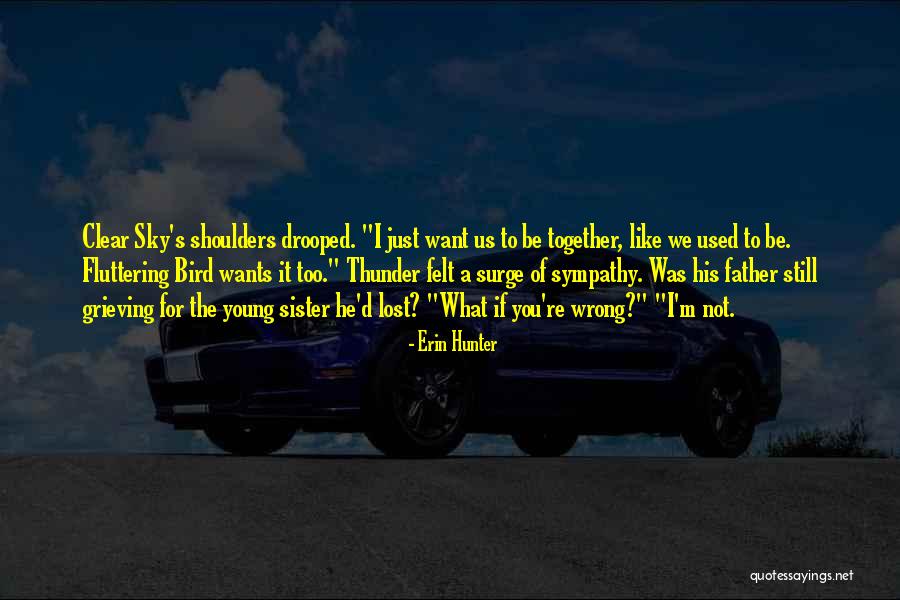 Dealio Crop Quotes By Erin Hunter Dealio Crop Quotes By Erin Hunter