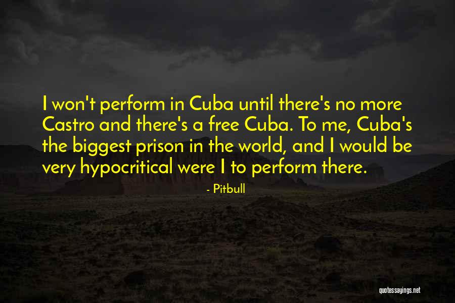 Dealmaking In The Film Quotes By Pitbull Dealmaking In The Film Quotes By Pitbull