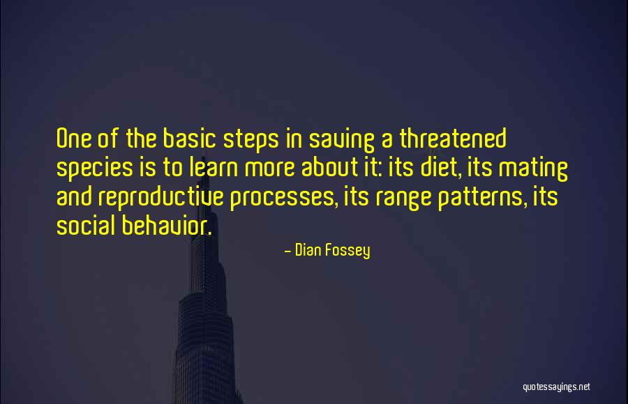Dean Armitage Quotes By Dian Fossey Dean Armitage Quotes By Dian Fossey