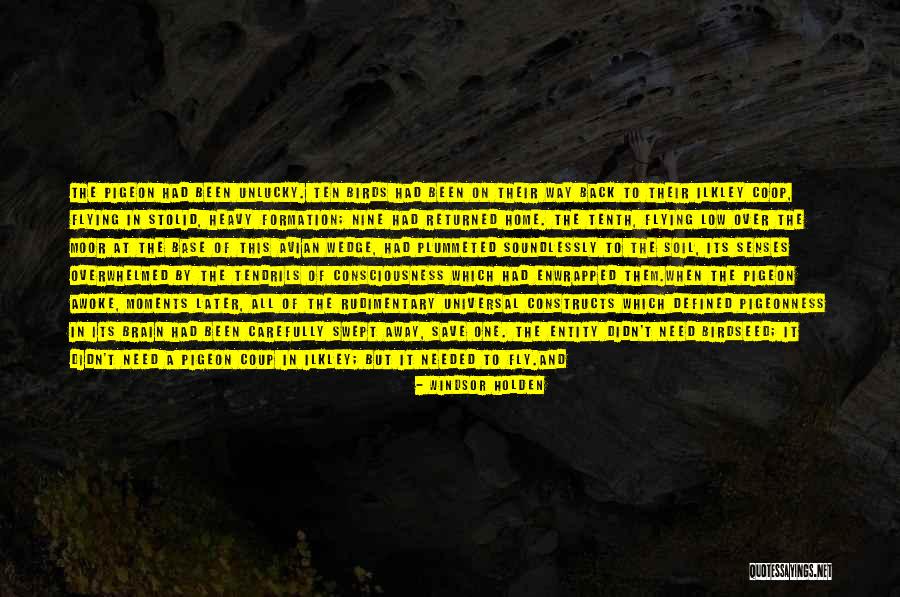 Dean Pelton Quotes By Windsor Holden Dean Pelton Quotes By Windsor Holden