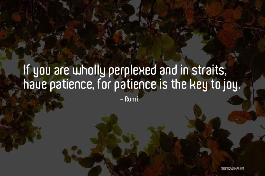 Dean Werner Quotes By Rumi Dean Werner Quotes By Rumi