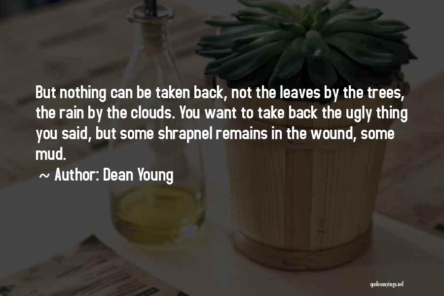 Dean Young Quotes 191610