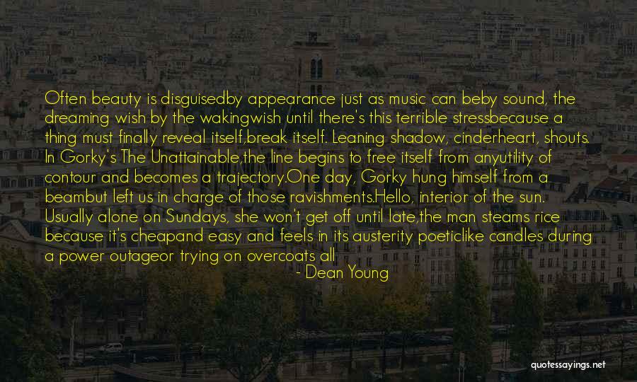 Dean Young Quotes 2138431 Dean Young Quotes 2138431