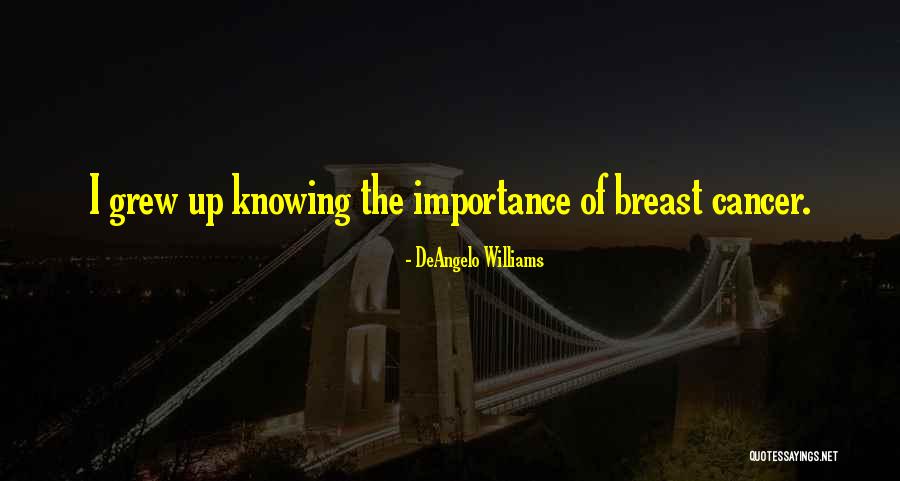 DeAngelo Williams Quotes 1280866 DeAngelo Williams Quotes 1280866